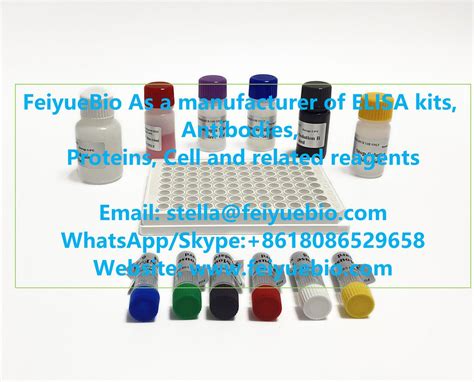 apoptosis assay elisa kit|apoptosis elisa kit.